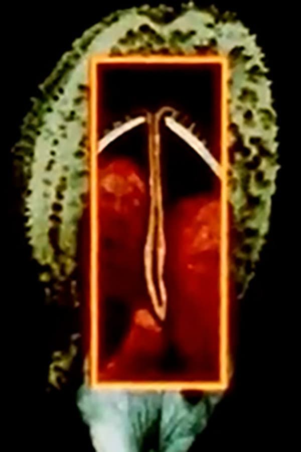 Maternal Language Part 1: The Construction of Maternal Form & its Adaptation to Absent Sexual Vitality